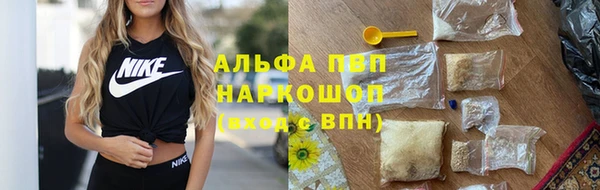 тгк Няндома