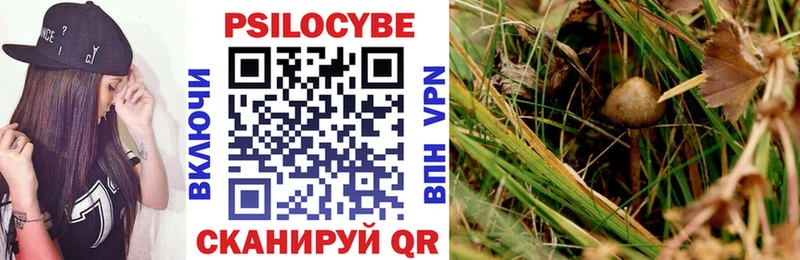 Псилоцибиновые грибы MAGIC MUSHROOMS  Алушта 